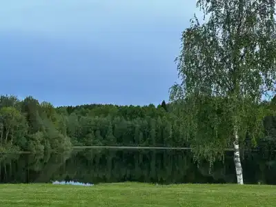 Умосту - 5