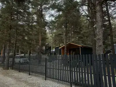 Аура Гор - 4