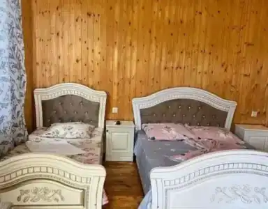 Отдых у Аведиса и Виктории - 6