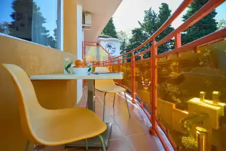 Диса - 287