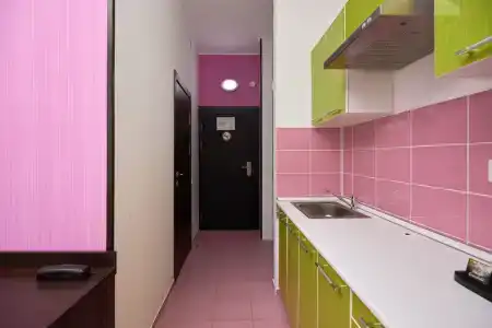 Диса - 300