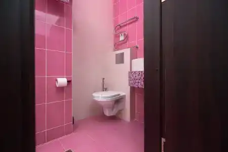 Диса - 301