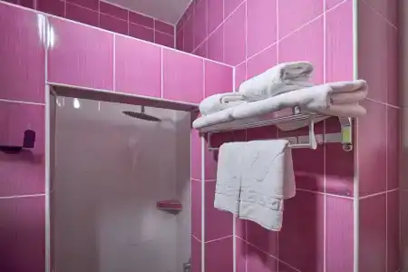 Диса - 305
