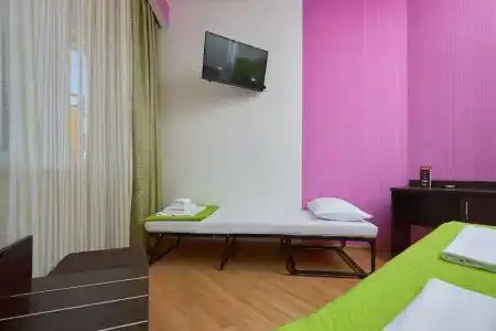 Диса - 311