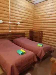 Феникс - 17