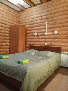 Феникс - 15