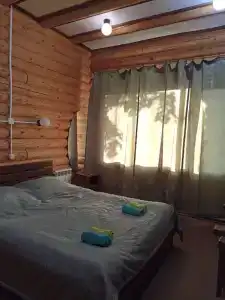 Феникс - 16