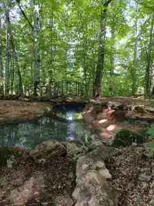 Благодать - 14