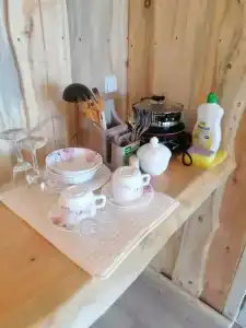 Загородный дом Телецкое - 40