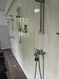 Миндовский - 13