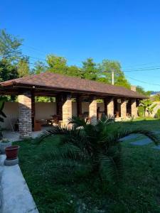 Азалия - 49