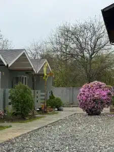 №12 - 37