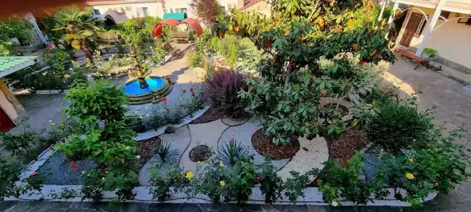 Пансионат Орхидея - 198