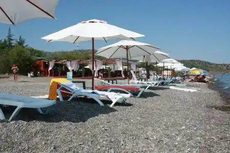 Пансионат Орхидея - 201