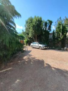 Владислава - 12