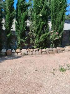 Владислава - 13