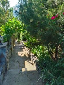 Владислава - 18