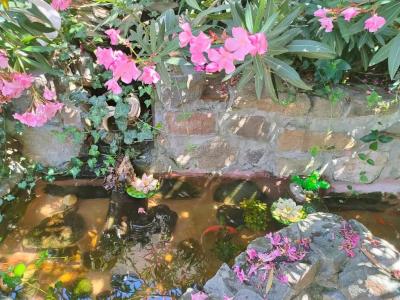 Владислава - 19