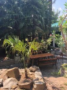 Владислава - 20