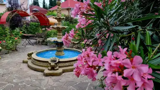 Пансионат Орхидея - 213