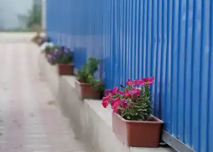 Комфорт - 80