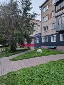 Неотель - 23