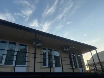 Амариллис - 15