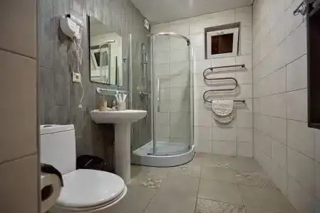 Каштан - 104