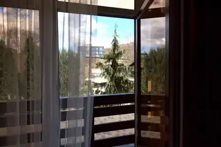 Каштан - 105