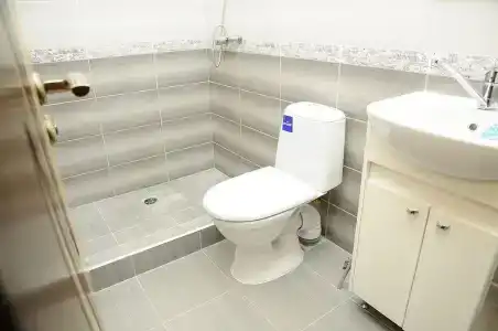 Три сосны - 15