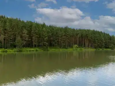 Капитанский Остров 57 - 109