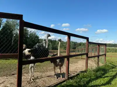 Капитанский Остров 57 - 118