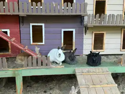 Капитанский Остров 57 - 119