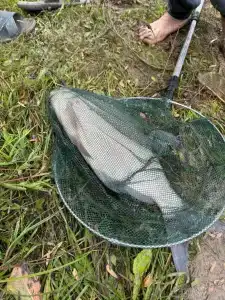 Капитанский Остров 57 - 121