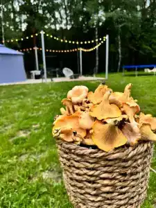 Капитанский Остров 57 - 122