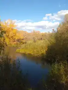 Гостевой дом на Ползунова - 49