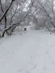 Гостевой дом на Ползунова - 36