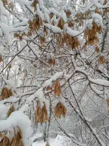 Гостевой дом на Ползунова - 37