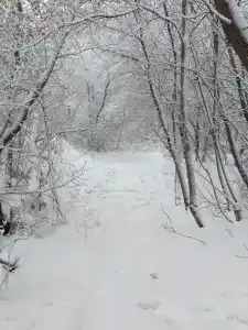 Гостевой дом на Ползунова - 35