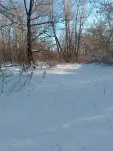 Гостевой дом на Ползунова - 38
