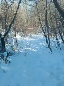 Гостевой дом на Ползунова - 39