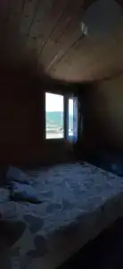 Танина лаванда - 12