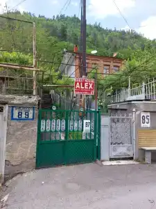 Alex - 53