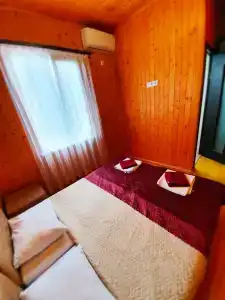 Пальма - 35