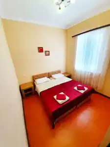 Пальма - 39
