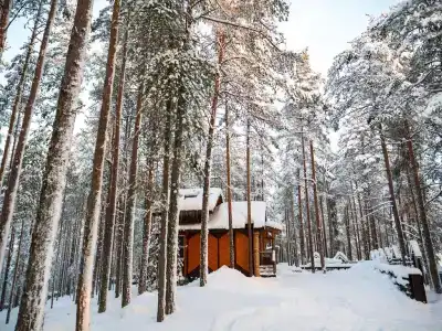 Велт - 299