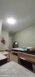 Шалфей - 17