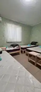 Шалфей - 19