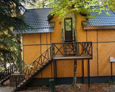 Green Forest - 61