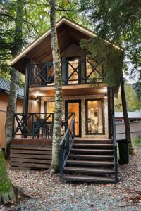 Green Forest - 62